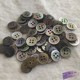 Пуговица Ракушка, 11,5 мм, , специальный маленький круглый край 100 1,5 толщиной, 4090326383924